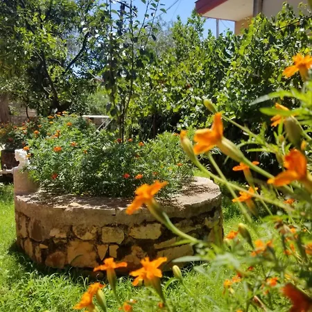 Πανσιόν Vila,Apartaments Luani *