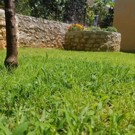 Vila,apartaments Luani Pensjonat *